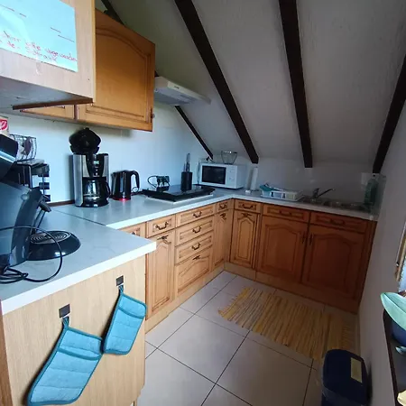 Apartment Günther Fernschild *