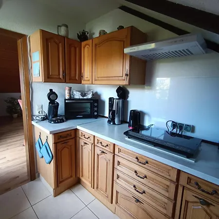 Günther Fernschild Apartment *